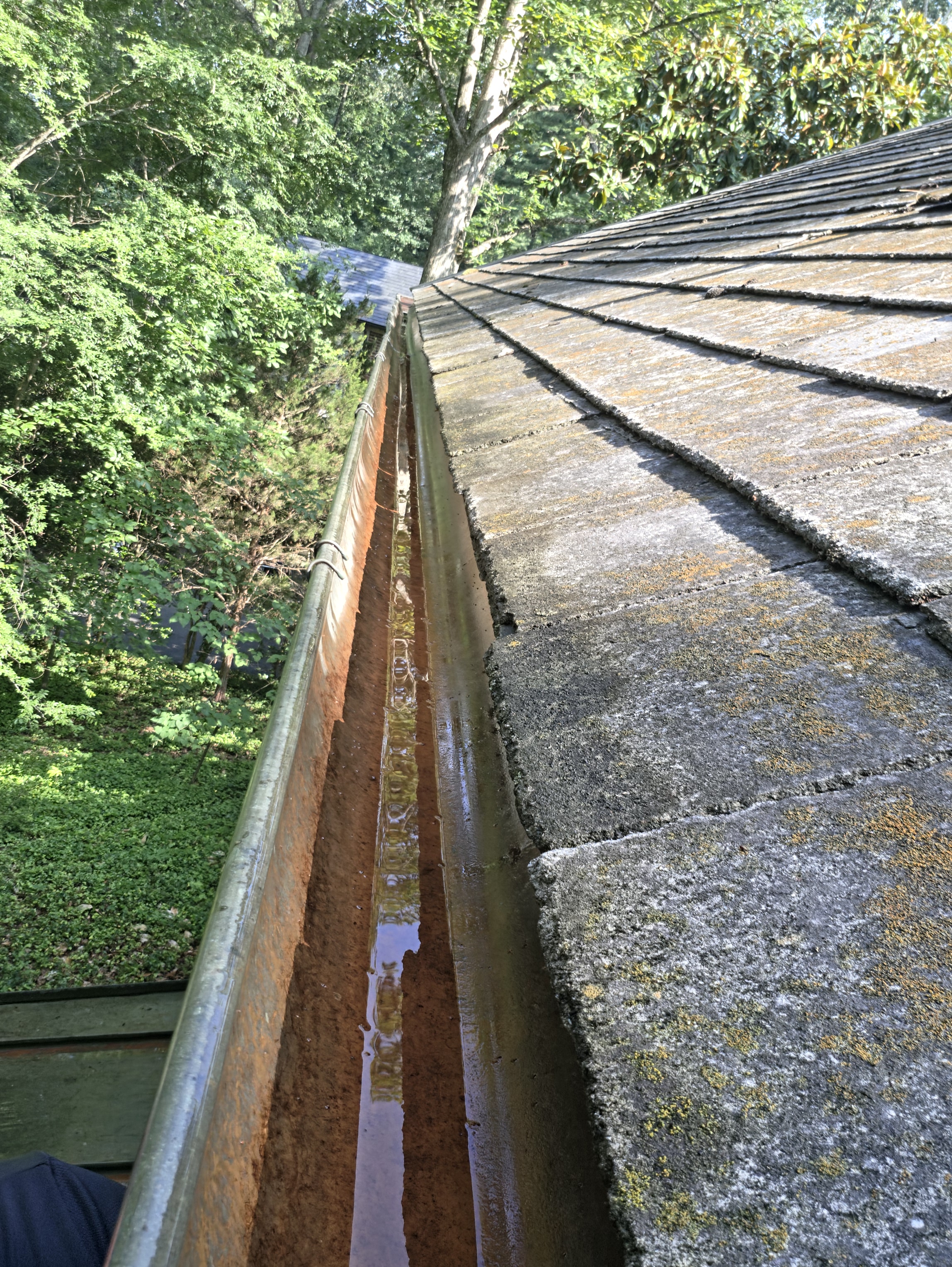 gutter cleaning in Richmond, VA 23225